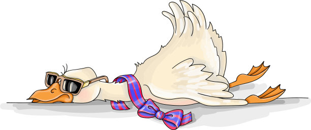 有趣可爱的鸟鹅休息图片下载