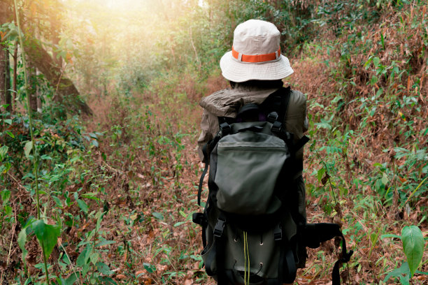 带着背包客在森林里徒步旅行的时髦女人图片下载