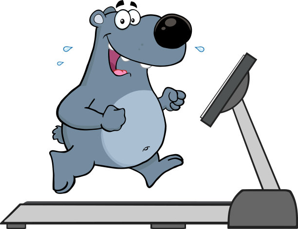 灰熊在跑步机上跑步图片下载