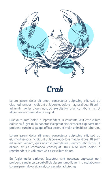 蟹类海洋生物素描风格海报图片下载