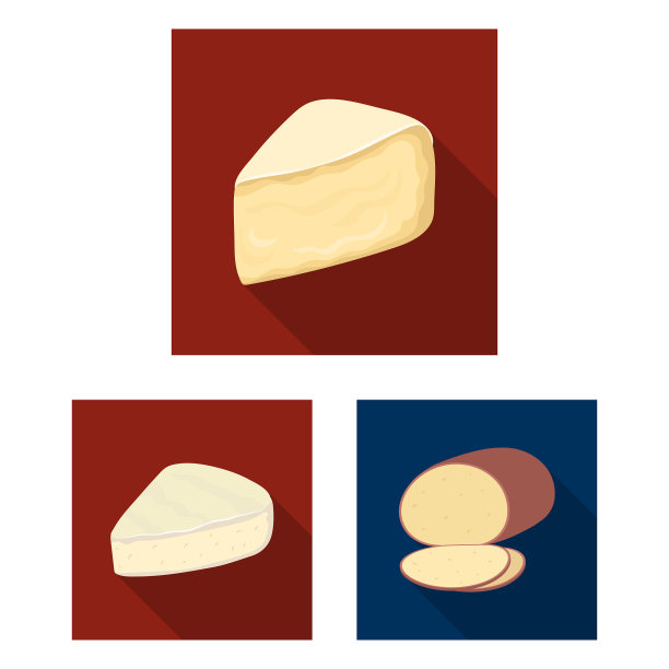 不同种类的奶酪平面图标设置图片下载