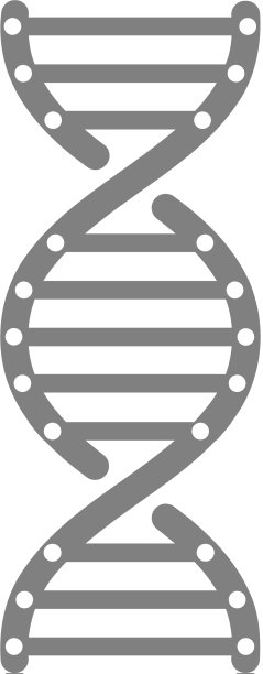 DNA基因遗传医疗健康灰色图标图片下载