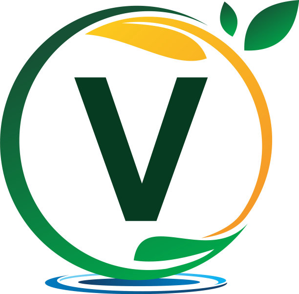 绿色项目解决方案字母v图片下载