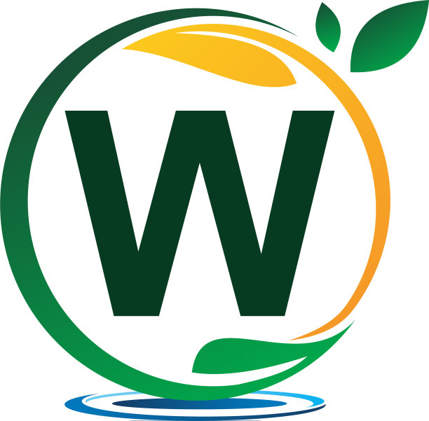 绿色项目解决方案字母w图片下载