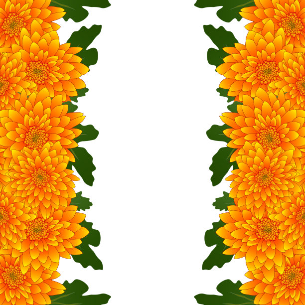 黄菊花边花图片下载