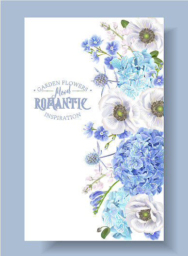 蓝色海葵框架图片下载