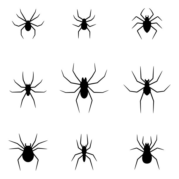 设置蜘蛛孤立的黑色剪影图片下载