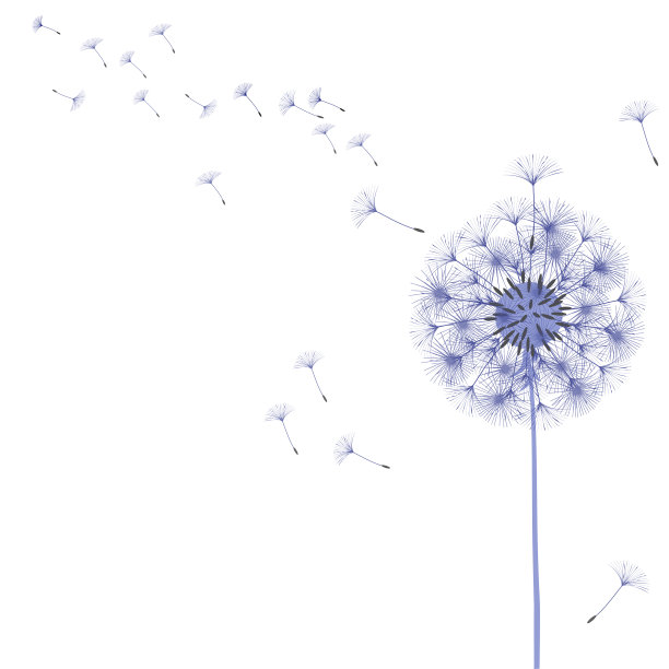 抽象的蒲公英背景设计图片下载