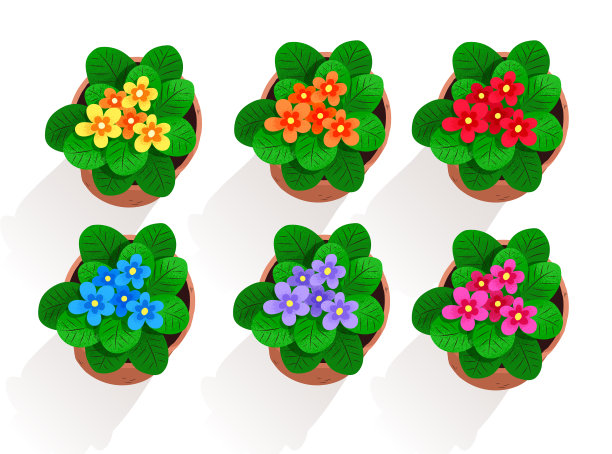 收集花盆中的花图片下载