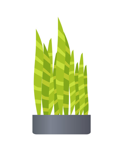 盆和植物的绿色图片下载