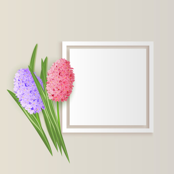 框架用鲜花图片下载