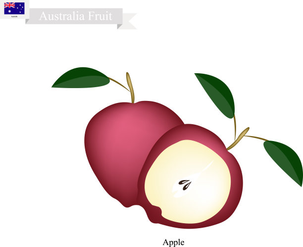 新鲜苹果是澳大利亚的国果图片下载