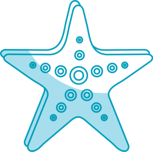 海星是热带夏季的标志图片下载