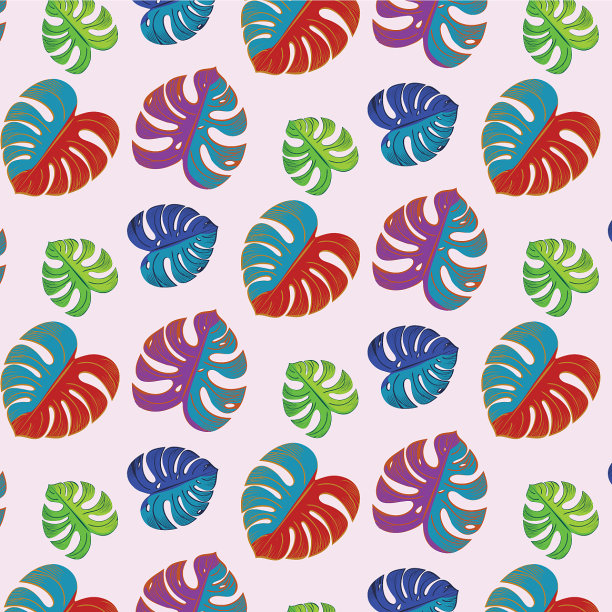 绿色的叶蓬莱蕉图片下载