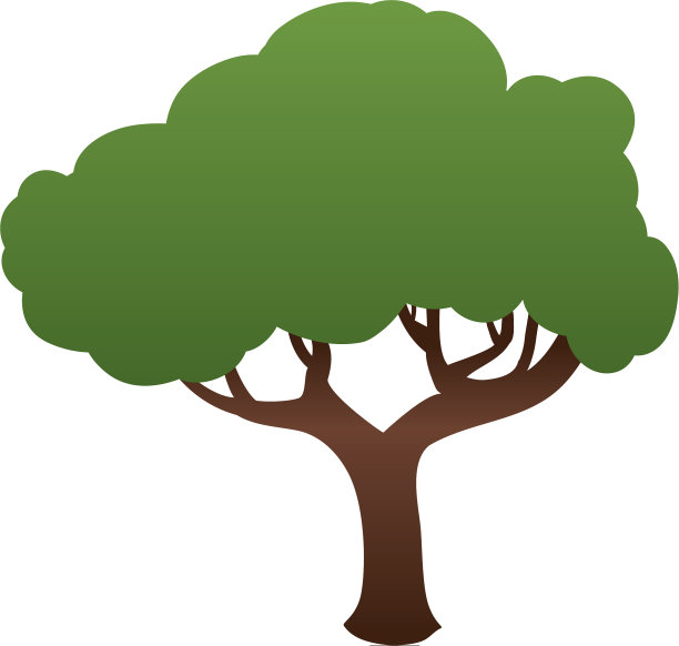 美丽的树隔离图片下载