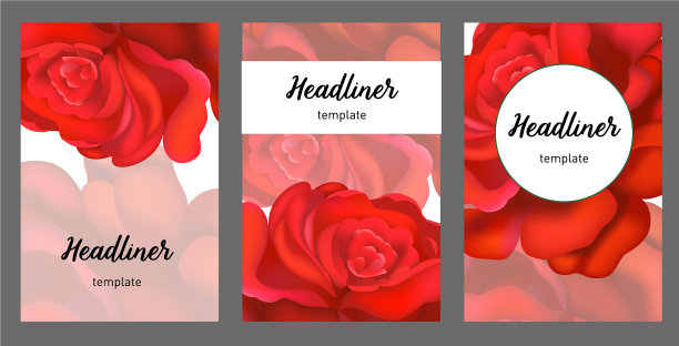 以经典的英国玫瑰为背景图片下载