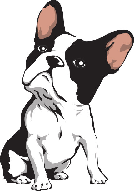 斗牛犬图片下载