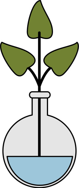 植物图标图像图片下载