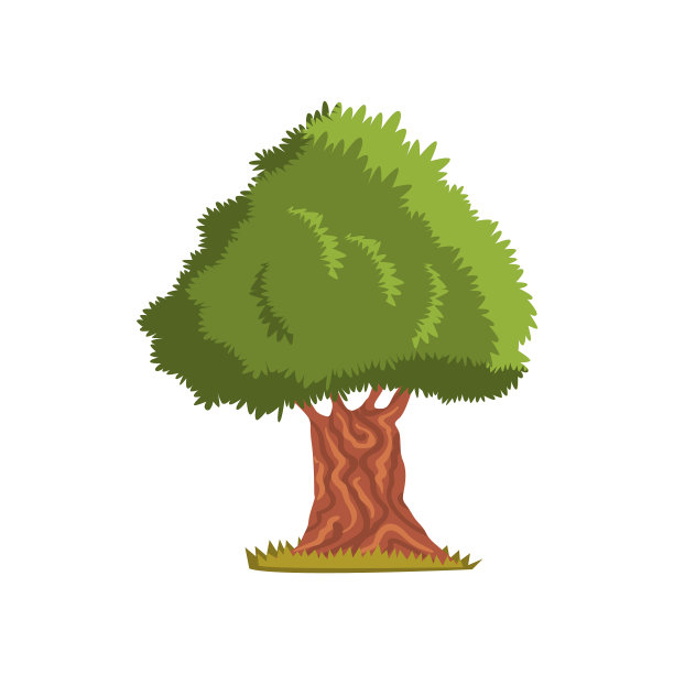 一棵白色的绿橄榄树图片下载