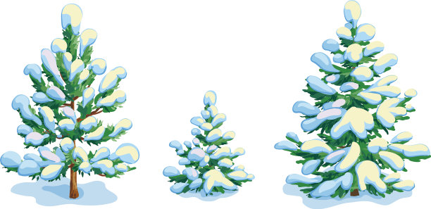 小小的白雪覆盖的松树和两棵冷杉树图片下载
