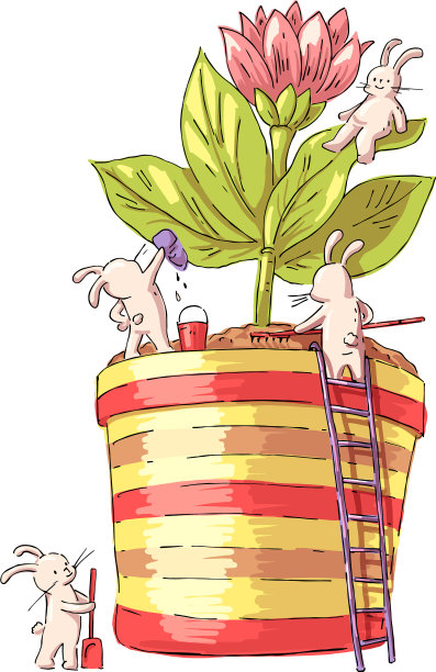 小兔子图片下载