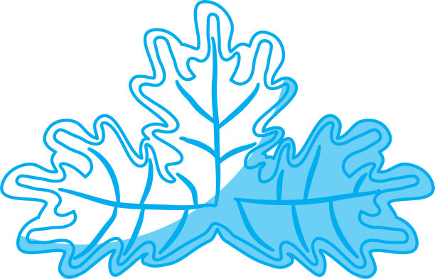 叶子图标图像图片下载