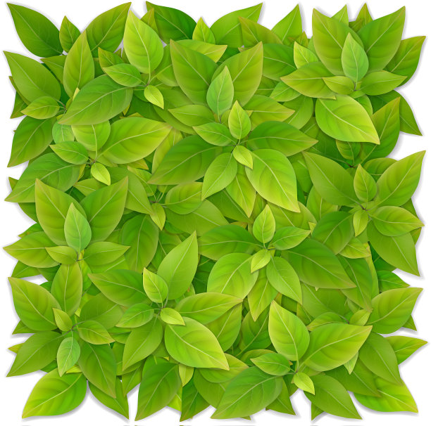 由绿色的叶子做成的方形图片下载
