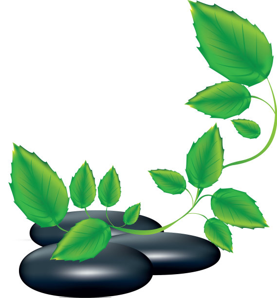 温泉理疗，火山石和攀缘植物图片下载