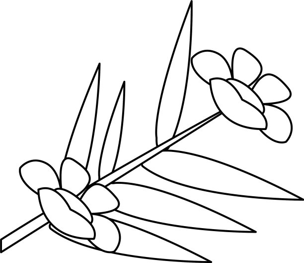 水疗保健美容模板图片下载