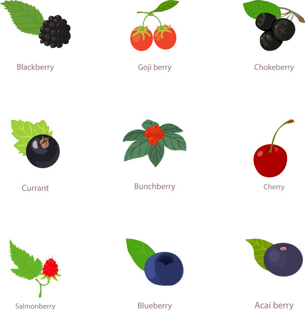 贝瑞商业图标集卡通风格图片下载