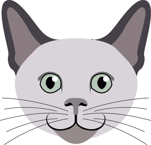 猫的化身猫的品种图片下载