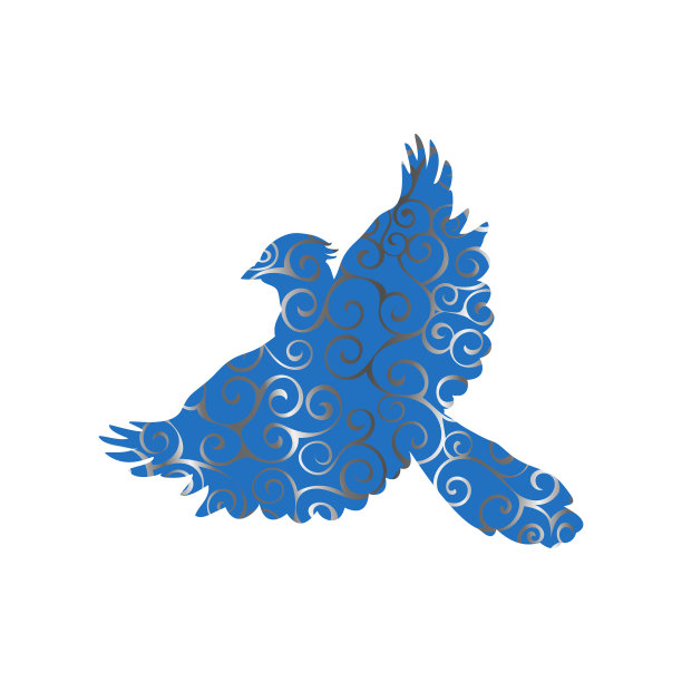 鸟类鸟螺旋图案颜色剪影动物图片下载