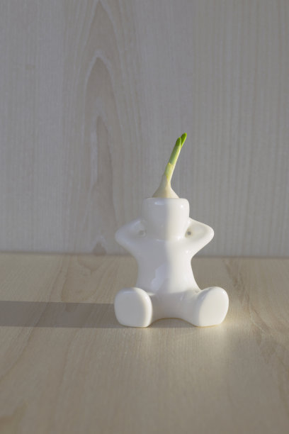 白色陶制人像，头上长着洋葱(奇波里诺)，坐在木制的表面上，被阳光照射着图片下载