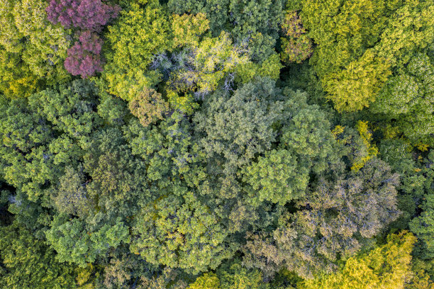 秋天的颜色图片下载