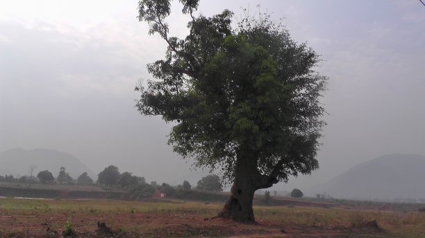 自然景观形象图片下载