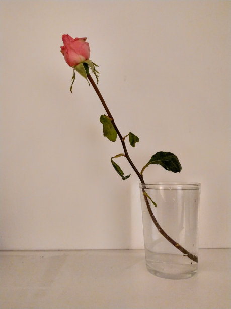 2020年4月16日，西班牙塞维利亚图片下载