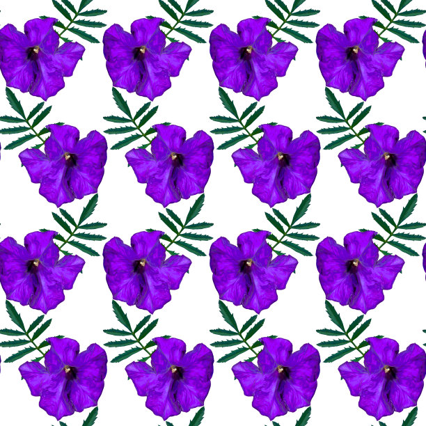无缝图案与紫色矮牵牛花和绿色的叶子在白色的背景。五彩缤纷的花卉纹理。光栅插图。图片下载