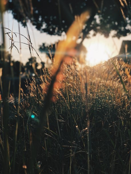 郊区Lanscape图片下载