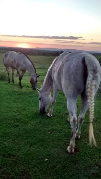 乡村生活图片下载
