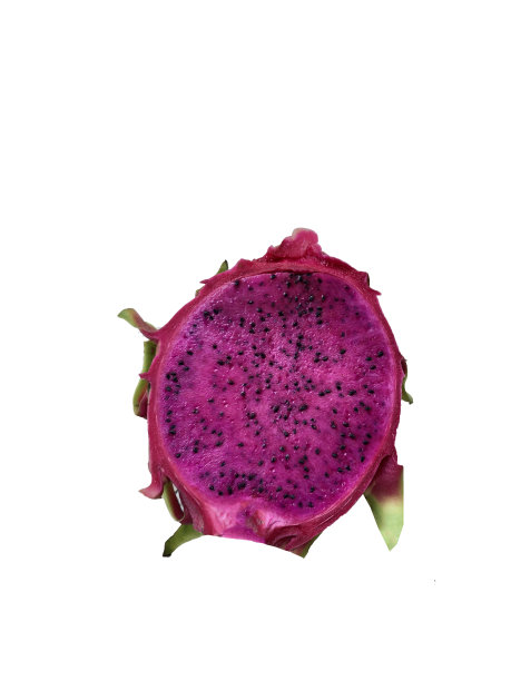 照片热带水果龙在白色的背景，孤立图片下载