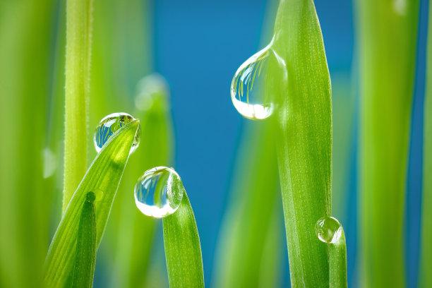 水背景照片素材ID：362708046