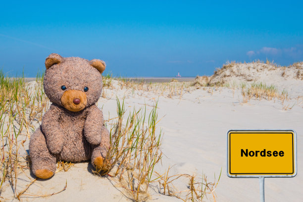 签下北海和泰迪图片下载