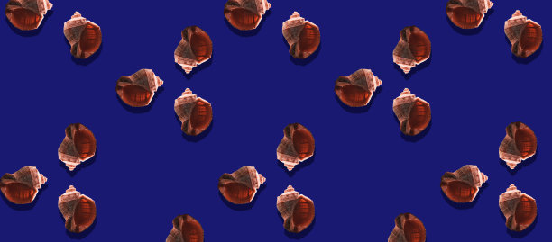 海洋主题图案自然图片下载