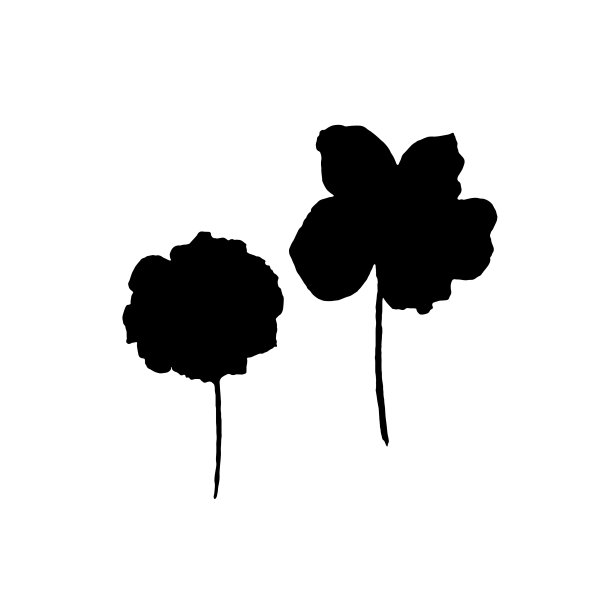 植物剪影插图银莲花花和芽。手绘单花孤立在白色背景。植物学插图图片下载