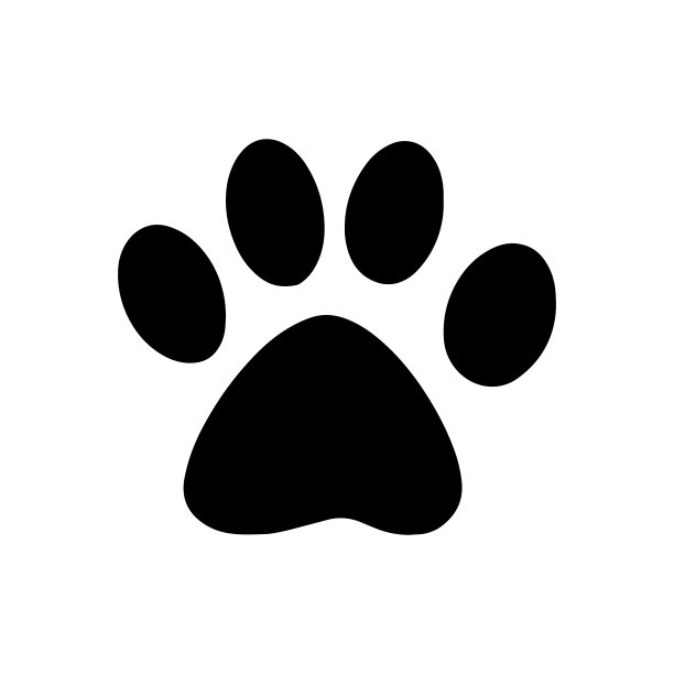 可爱的手绘猫爪在白色的背景。向量可爱的动物剪影在时尚的风格。有趣，可爱，hygge插图海报，横幅，印刷，装饰儿童游戏室。图片下载