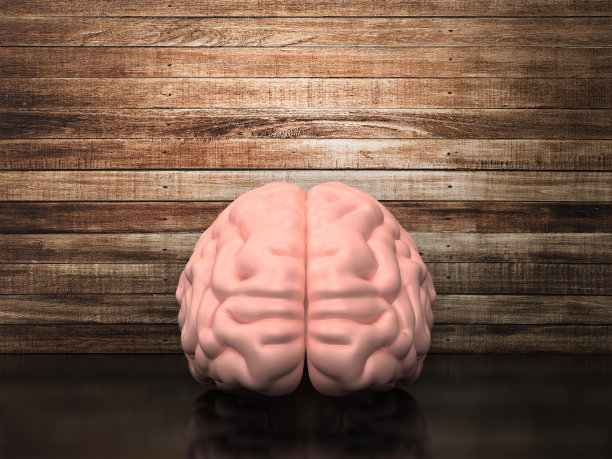 大脑- 3D渲染图片下载