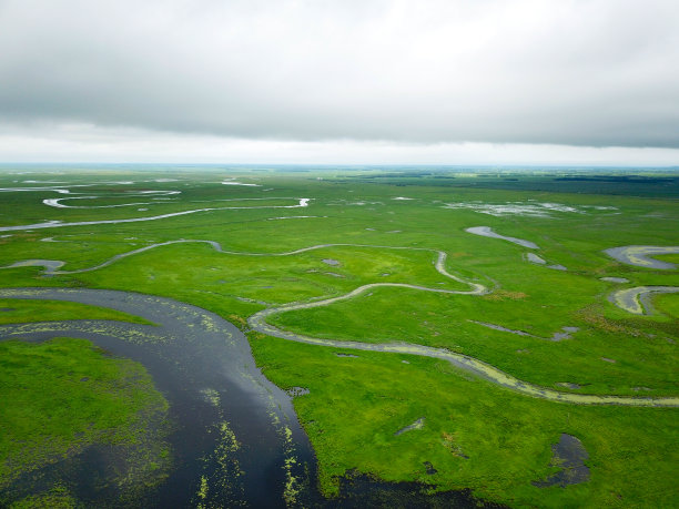 无人机拍摄中国黑龙江省的沼泽地素材图片