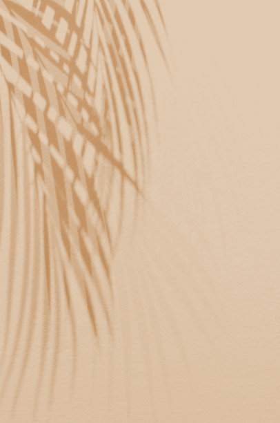 光与影绿叶，棕榈叶在沙色的垃圾墙混凝土背景上。剪影平铺抽象的热带叶自然图案与夏日肌理的临摹空间。软背景图像。图片下载