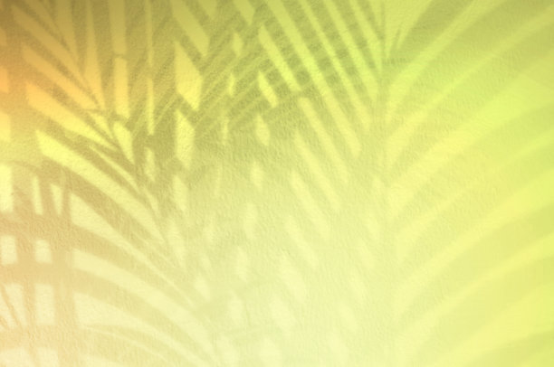 光和影的绿叶，棕榈叶五颜六色的垃圾墙混凝土背景。剪影平铺抽象的热带叶自然图案与夏日肌理的临摹空间。软背景图像。图片下载