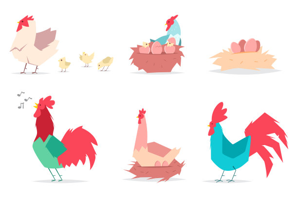 母鸡和鸡蛋，小鸡和公鸡。矢量平套鸡和公鸡孤立在白色背景。图片下载